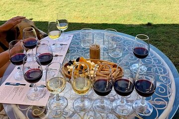 Wine Tasting Tour at Two Wineries in Urla Turkey