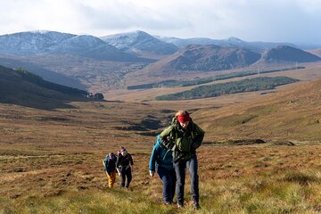 Cairngorms Hike - Day Trip by Train with Mountain Guide