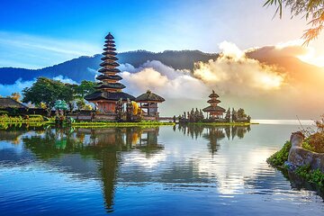  Full Day Private Tour in Bali