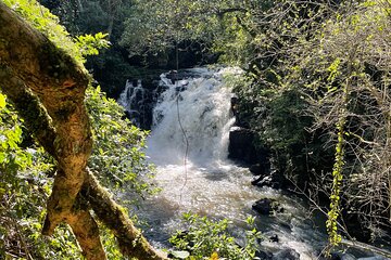 Pedal to waterfall in the backyard