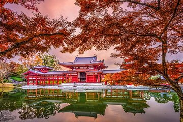 Ontabi Kyoto Uji One Day Tour