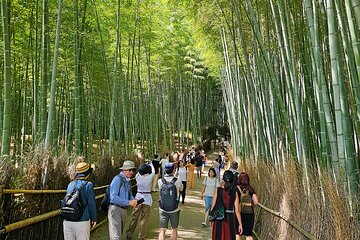 Kyoto's Arashiyama Bamboo Grove: 3-Hour Guided Tour