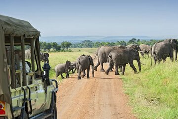 5 Days Maasai Mara And Riftvalley Lakes Safaris