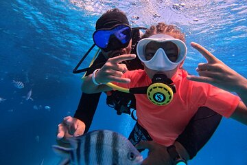 Intro Diving Beginner and Discover Red Sea Underwater