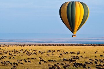 3 Days Private Tour in Maasai Mara