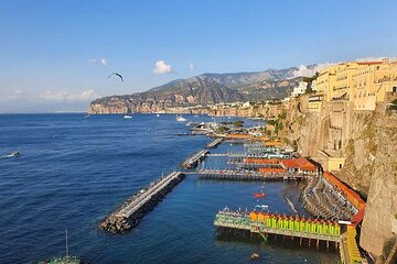 Private 8 Hours Trip To Positano and Pompeii, Naples to Sorrento