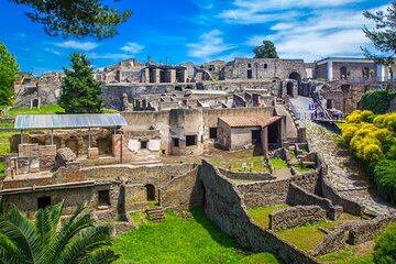 Full Day Private Shore Tour in Pompeii from Naples city