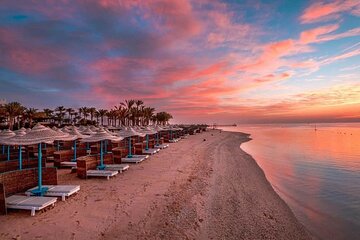 Red Sea private day tour from Cairo