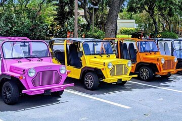 Fort Lauderdale Moke City Tour