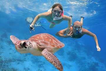 2-Days full Private Tour: Muscat City tour & Dimaniyat Islands