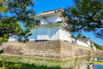 Kyoto Imperial Palace & Nijo Castle Guided Walking Tour - 3 Hours