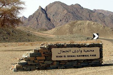Wadi El Gemal Desert Expedition with Transport