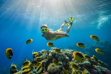From Sharm: White Island and Ras Mohamed Snorkeling Trip