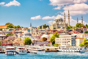 Istanbul Old City Private Walking Tour with Bosphorus Cruise