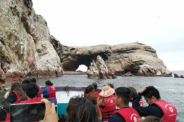 Boat Trip through the Ballestas Islands with Private Transportation