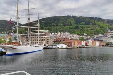 Private Tour in Bergen with Professional Guides