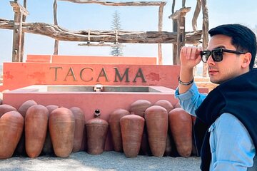 Tacama Wine Experience and Pisco Museum and Pisco Sour Class