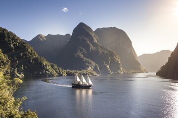 Doubtful Sound Wilderness Cruise from Te Anau