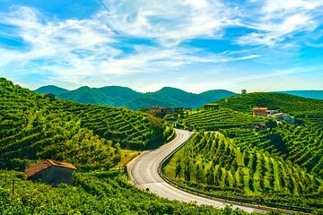 Full Day Private Prosecco Wine Tour Experience from Venice