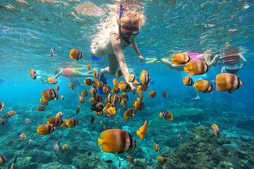 The Most Incredible Nusa Penida Private Day Tour With Snorkeling