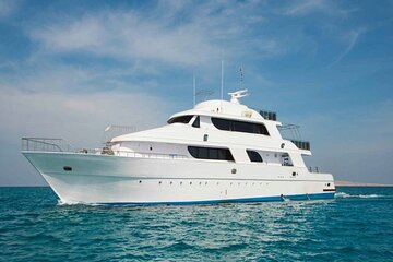 Yachting to Dolphin House with Lunch in Hurghada