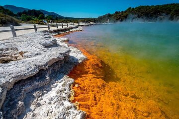 Wai-O-Tapu to Redwoods and Secret Spot