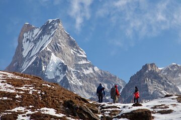 4 Days Mardi Himal Base Camp Trekking in Pokhara