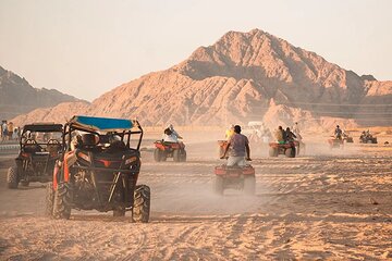 Tour Quad Bike + Dinner in the desert in Luxor