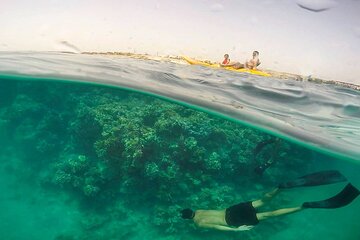 Snorkelling Adventure in Sharm El Luli Beach in Marsa Alam