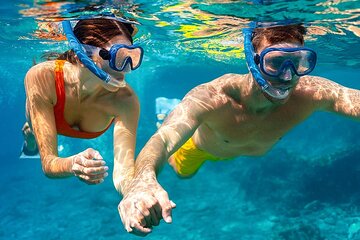 Samadai Reef - Dolphin House Snorkeling Tour at Marsa Alam