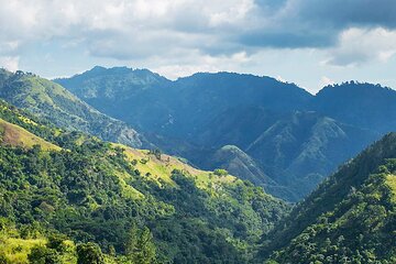 Exotic Blue Mountain Coffee Tour