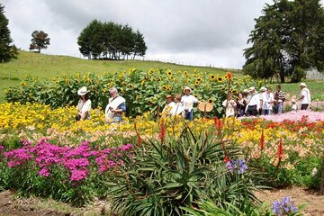 Private Tour Heart Fair Flowers + Adventure Park + Flower Farm