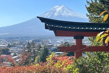 Mt.Fuji Hakone Private Tour with English Speaking Chauffeur