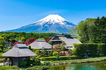 Full Day Guided Trip to Mt. Fuji and Hakone from Tokyo