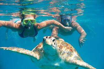 White Island Catamaran and Snorkeling Cruise