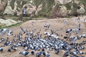 Full Day Green Group Tour in Cappadocia