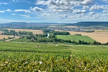 Champagne Boizel since 1834 Private trip from Paris