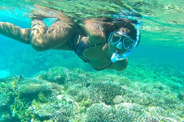 Ras Mohamed National Park Snorkeling Adventure