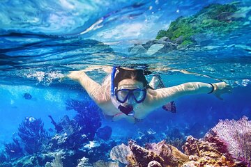 Tours to Saona Island