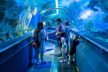 Aquaria KLCC Admission Ticket with return Transfer