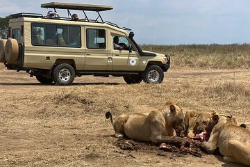 Arusha Tanzania 5 Day Safari Adventure