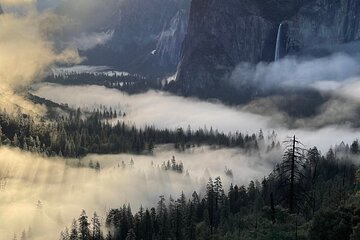 Yosemite Winter Highlights Small Group Tour