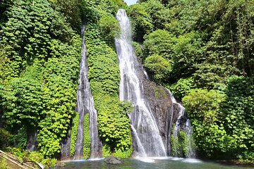 Private Experience Bali Splendor Waterfalls Temple and Rice Field