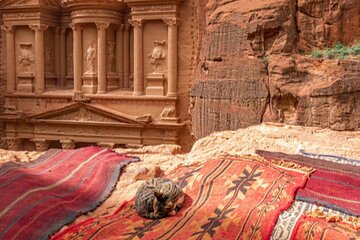 Full-Day Tour of Petra Temple and Jordan from Sharm El Sheikh