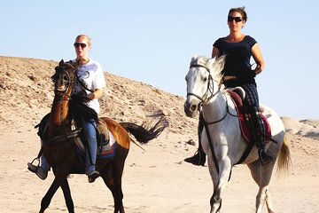 Hurghada Arabian Desert and Sea Horseback Adventure