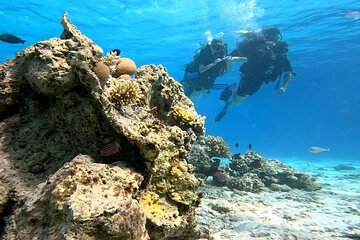 Full Day Scuba Diving Boat Trip for Professional Divers_Hurghada