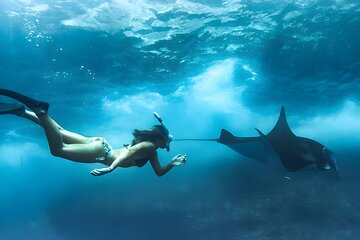 Snorkeling In Nusa Penida Island With Manta Ray From Bali