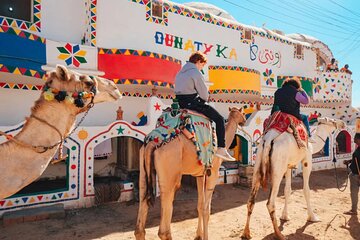 3 Hour Private Camel Riding Tour in Aswan