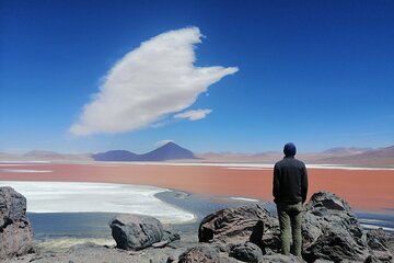 Private Full Day Tour to Red Lagoon and Lipez Region From Uyuni