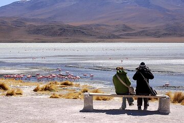 2-Day Private Tour to Salar de Uyuni and Laguna Colorada